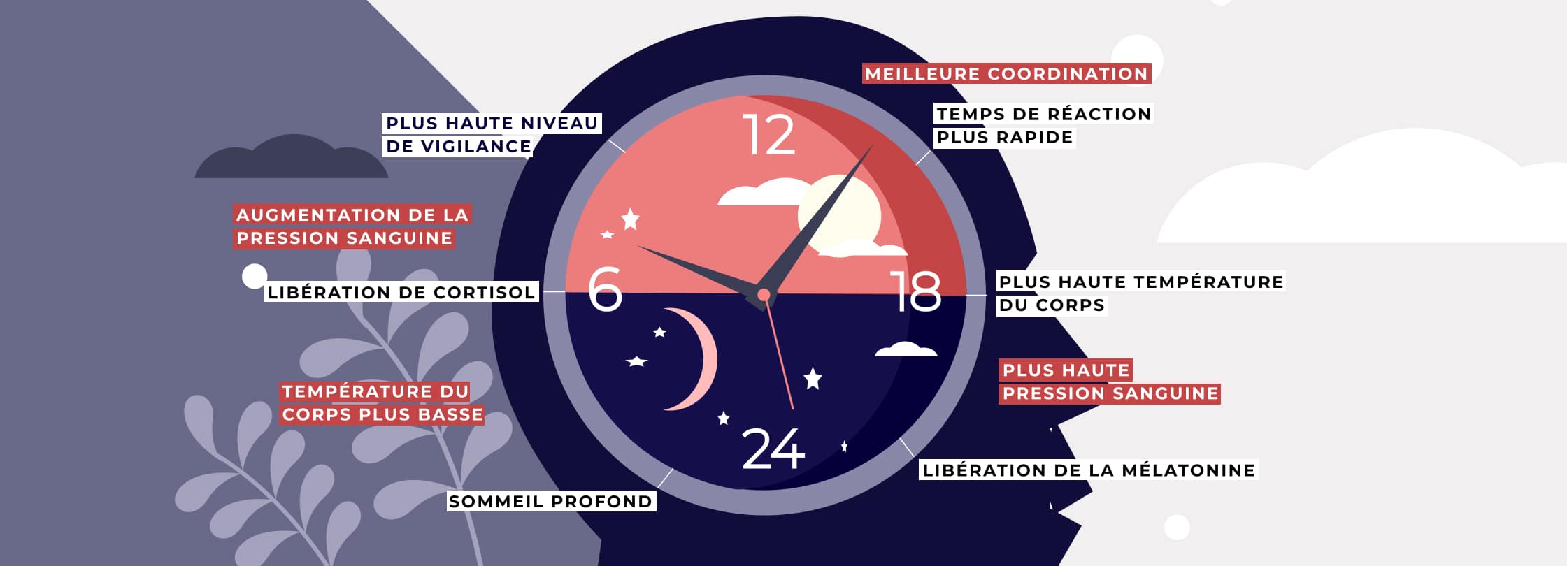 Hygiène de vie et sommeil : les influences | Actualites | Info Somnolence